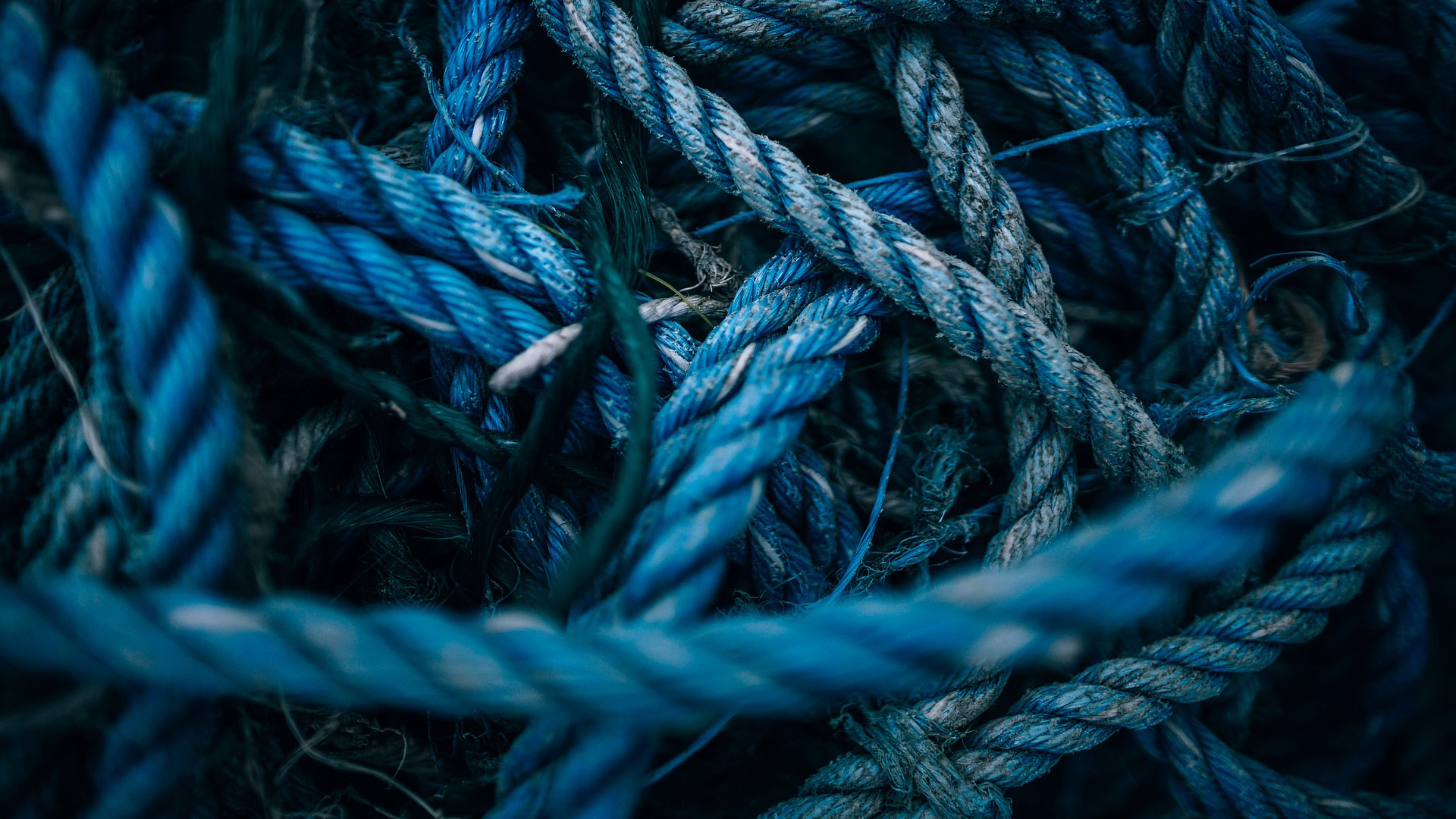 Données Socio Économiques